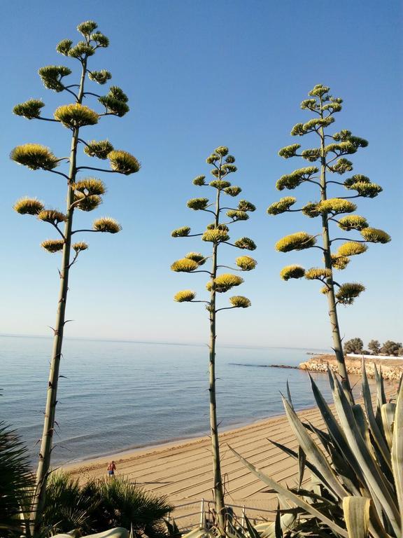 Villa Del Mar Авола Экстерьер фото